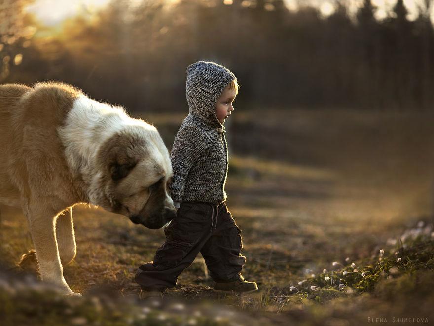cool-animal-children-photography-Elena-Shumilova-sun-dog